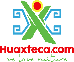 huaXteca.com